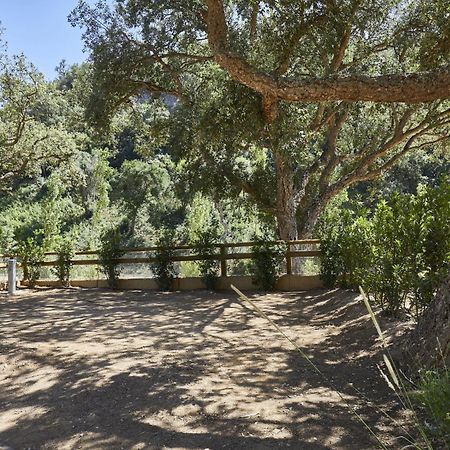 Pola Giverola Camp ตอสซาเดมาร์ ภายนอก รูปภาพ