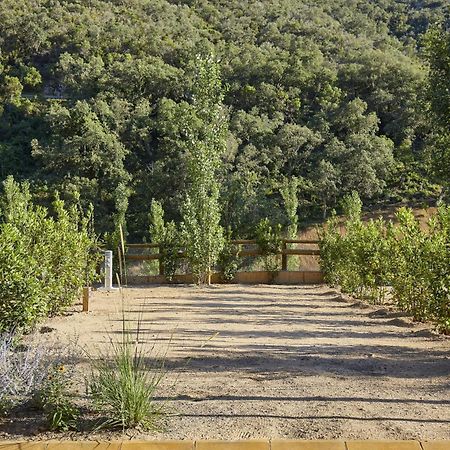 Pola Giverola Camp ตอสซาเดมาร์ ภายนอก รูปภาพ