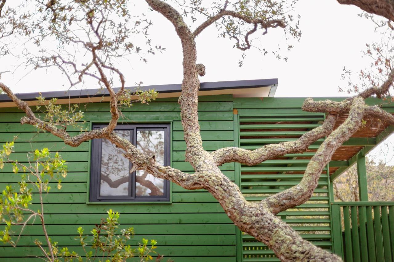 Pola Giverola Camp ตอสซาเดมาร์ ภายนอก รูปภาพ