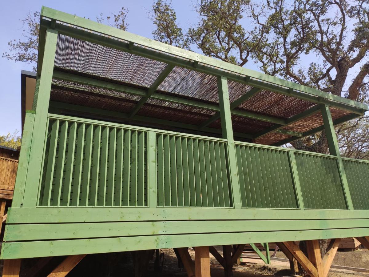 Pola Giverola Camp ตอสซาเดมาร์ ภายนอก รูปภาพ