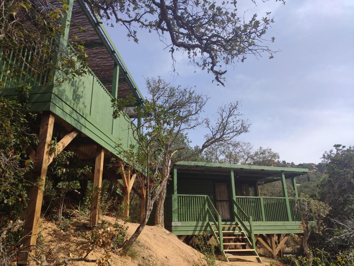 Pola Giverola Camp ตอสซาเดมาร์ ภายนอก รูปภาพ