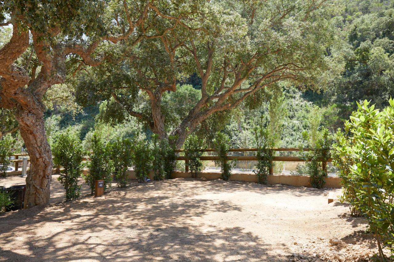 Pola Giverola Camp ตอสซาเดมาร์ ภายนอก รูปภาพ