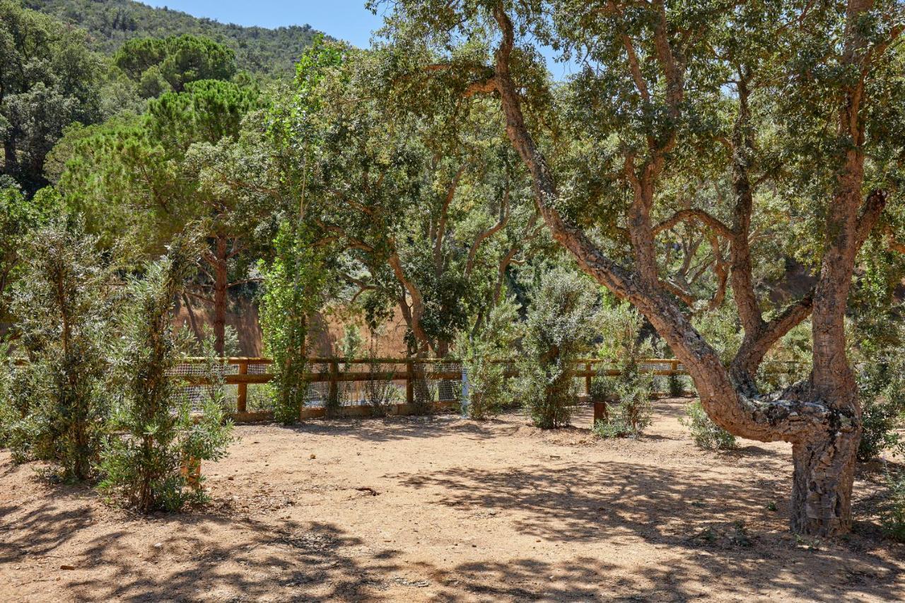 Pola Giverola Camp ตอสซาเดมาร์ ภายนอก รูปภาพ