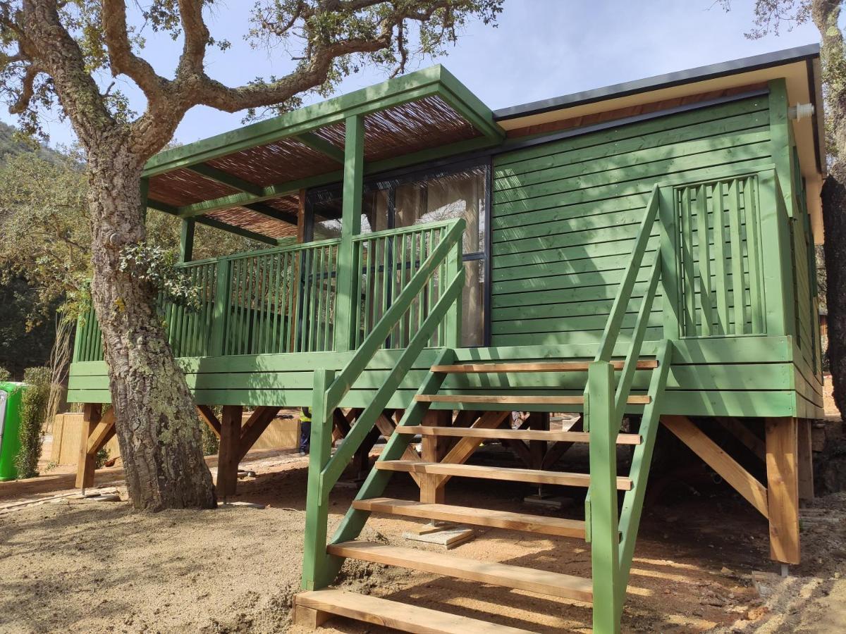 Pola Giverola Camp ตอสซาเดมาร์ ภายนอก รูปภาพ
